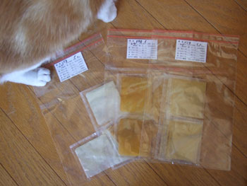 なんだか、暖かい日_a0064067_12525041.jpg