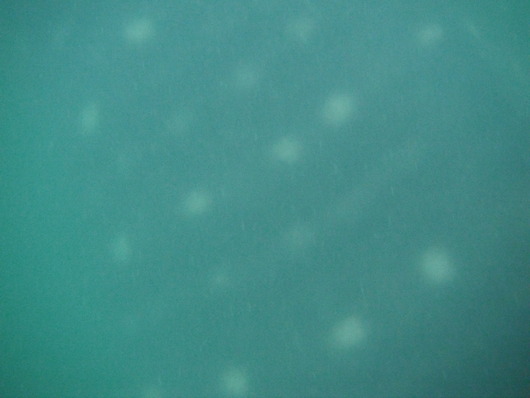 f0062870_1691966.jpg