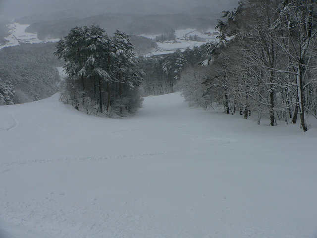 f0082181_201159.jpg