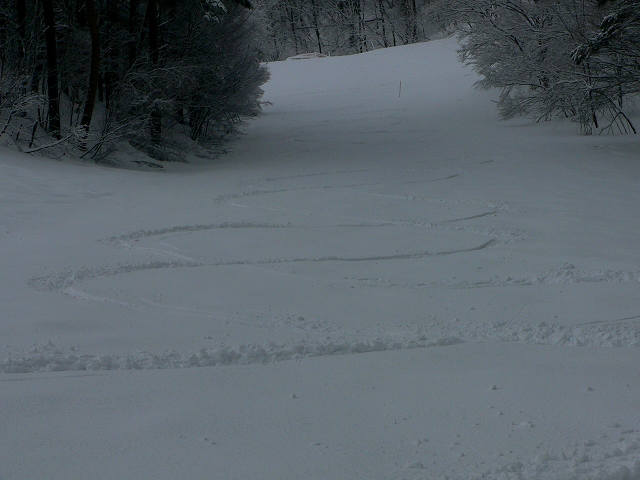 f0082181_2022585.jpg
