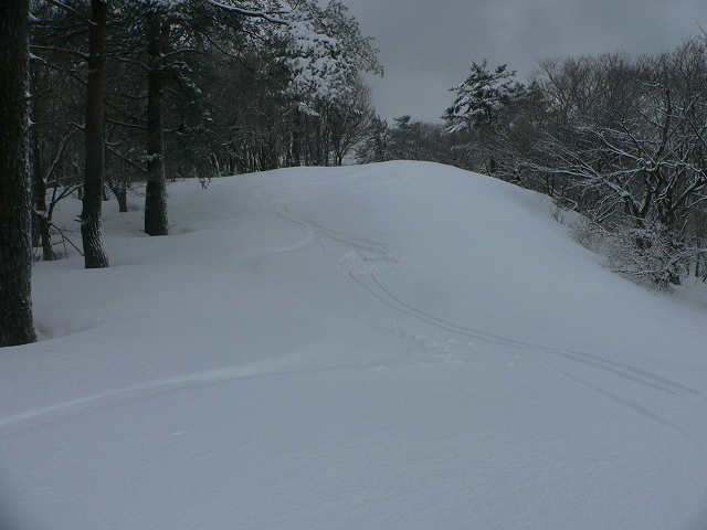 f0082181_20324079.jpg