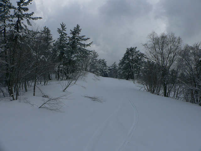 f0082181_2035451.jpg