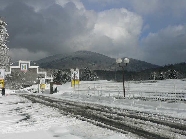 f0082181_2102952.jpg
