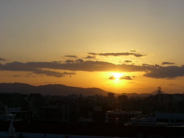 a0071787_942815.jpg