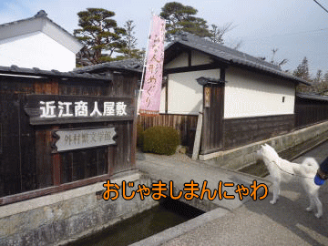 a0187087_16231242.gif