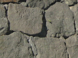 c0013687_210077.jpg