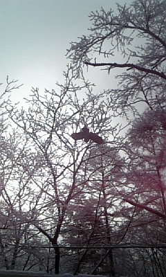 c0099395_14155012.jpg