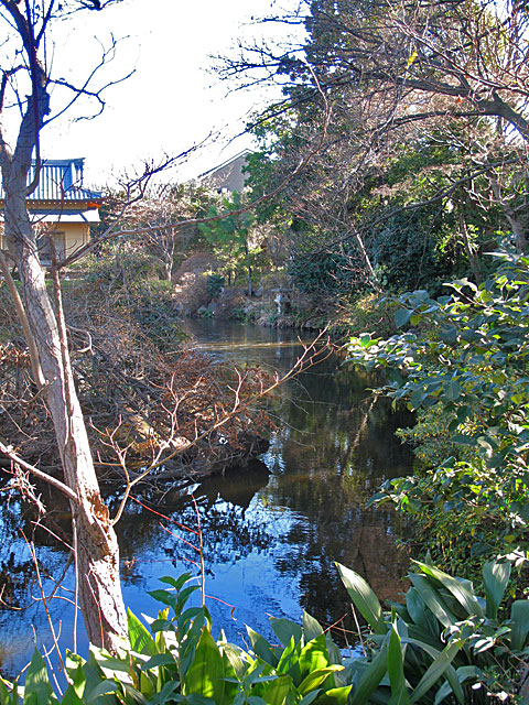 c0163001_0365069.jpg