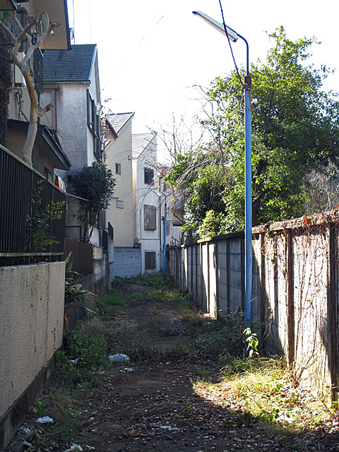 c0163001_037182.jpg