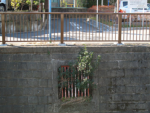 c0163001_038019.jpg