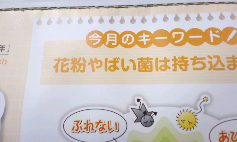 d0093903_1431636.jpg