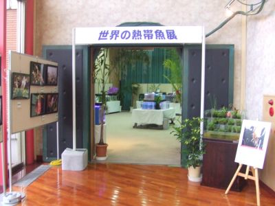 店舗販売だけでは食べていけないので副業してますw_a0193105_1948643.jpg