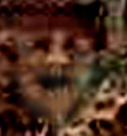 e0103408_14412421.jpg