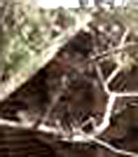 e0103408_1453940.jpg