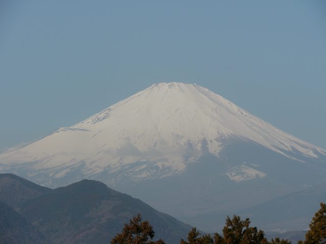 まつだ桜まつり♪　その②_c0039114_20505096.jpg