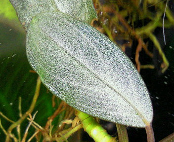 a0170118_22572038.jpg