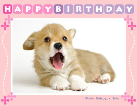 リリスベビーちゃん、お誕生日おめでとう♪_d0102523_12505667.jpg