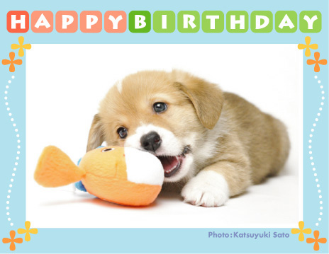 リリスベビーちゃん、お誕生日おめでとう♪_d0102523_12524460.jpg