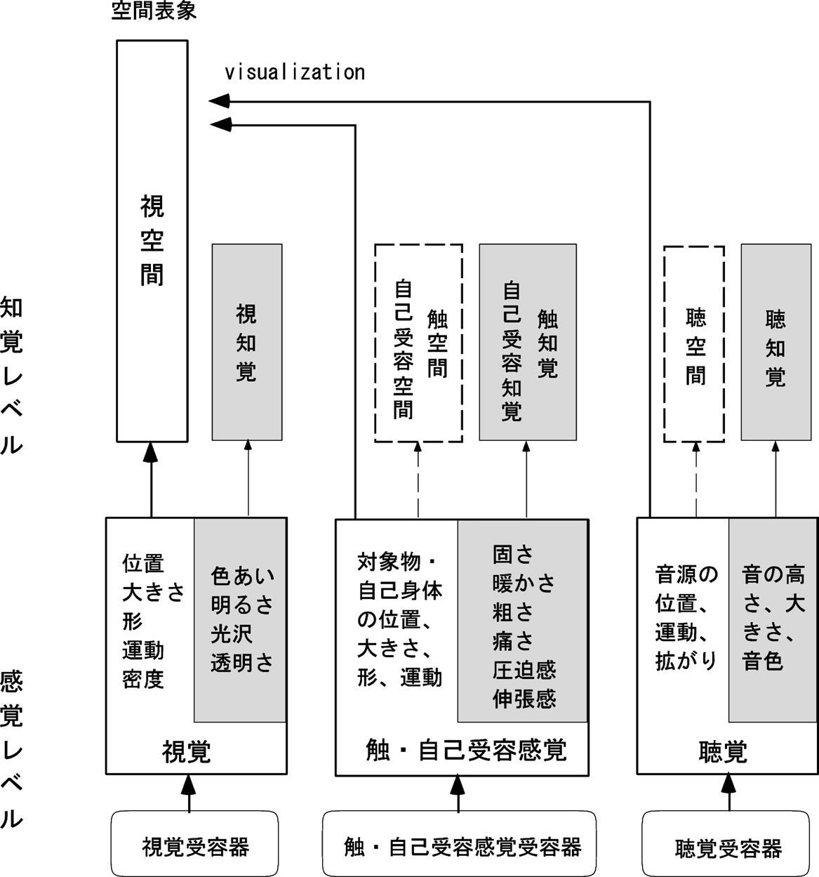 視覚 聴覚 触 自己受容感覚の空間 身体のしくみ