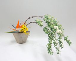 器と床面を意識して構成する_c0165824_17122516.jpg