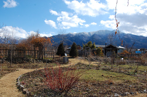 c0107129_39631.jpg