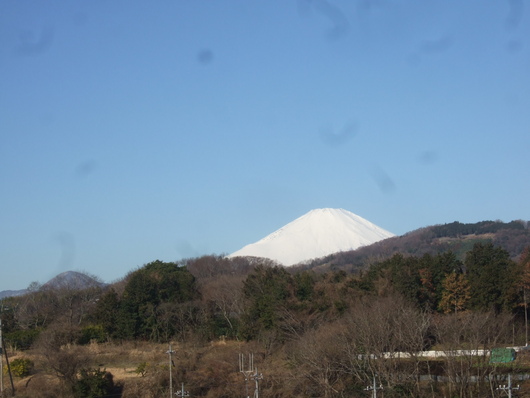 雪ですか？.....寒いはず。_b0137932_15454683.jpg