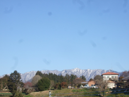 雪ですか?.....寒いはず。_b0137932_15461068.jpg