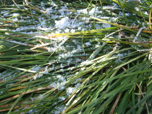 雪ですか?.....寒いはず。_b0137932_15462643.jpg