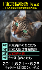 「東京猫物語」写真展バナーです。_c0194541_14572294.jpg