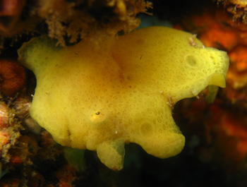 d0058549_170544.jpg
