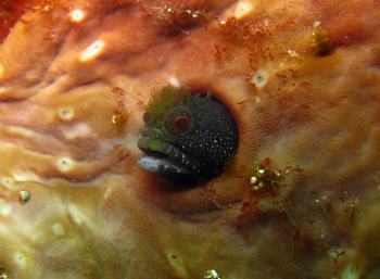 d0058549_171583.jpg