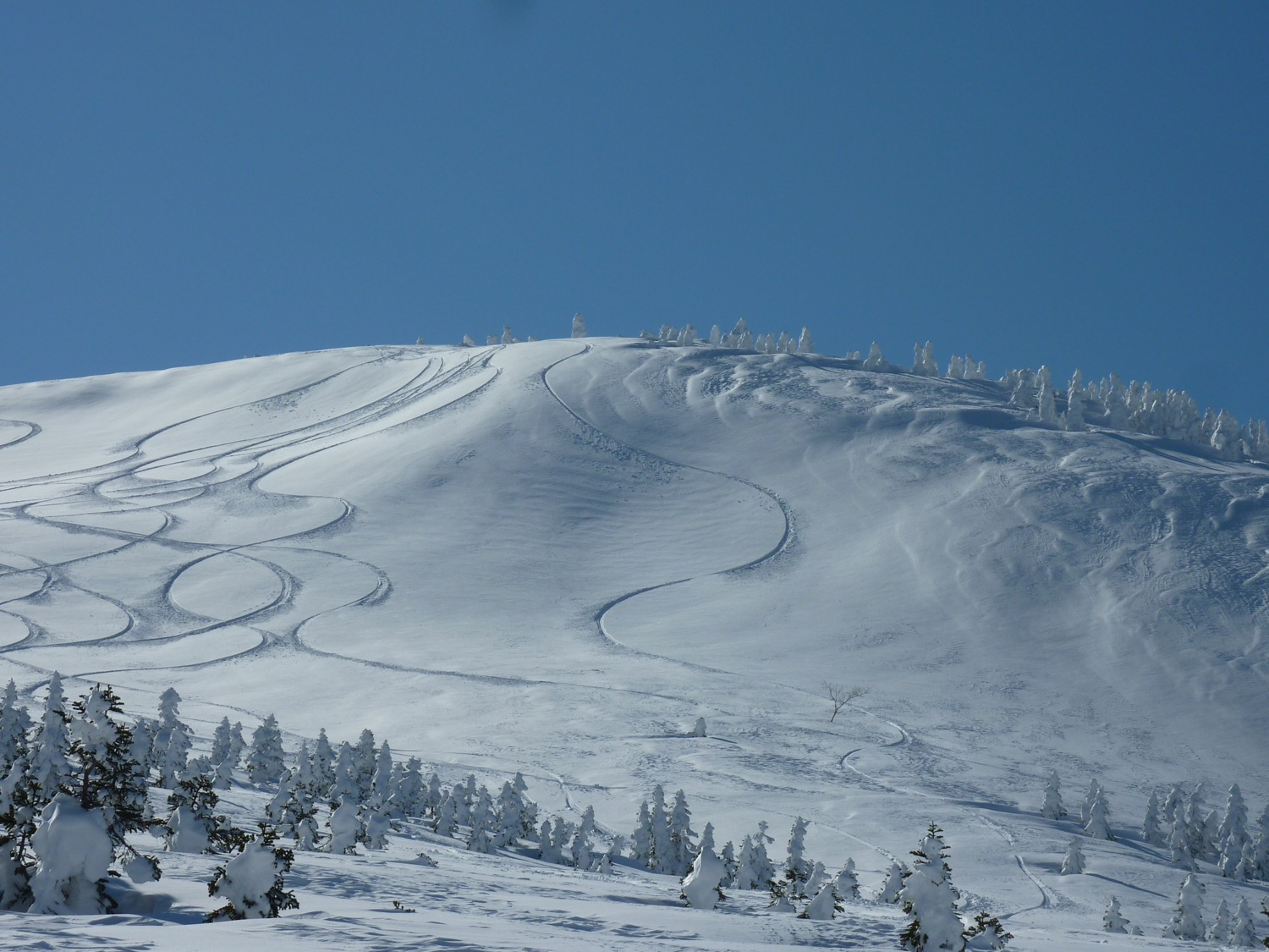 2011.2.19〜21 final day 八甲田　snow trip!!　23th_f0013553_21383056.jpg