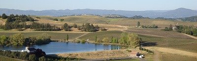 c0185058_5251254.jpg