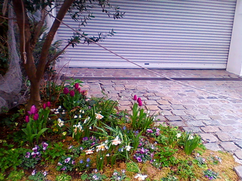 f0176458_21471714.jpg