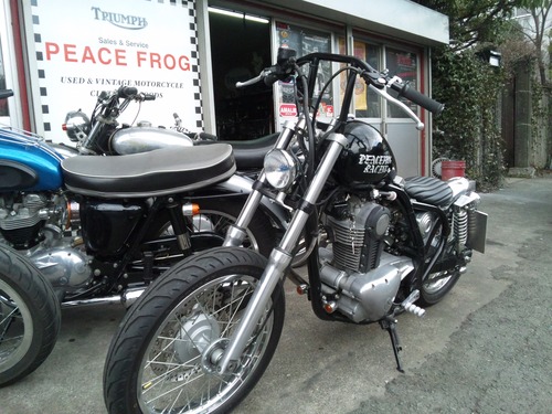 極小 バレット・ウインカー_a0193460_7221312.jpg