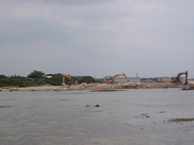 アーサー摘み_c0180460_18283617.jpg