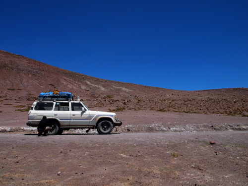 d0171760_4171115.jpg