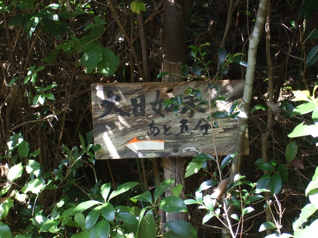 b0095061_12339100.jpg