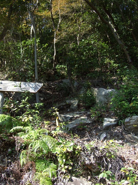 b0095061_1265167.jpg