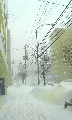 c0090564_1259389.jpg
