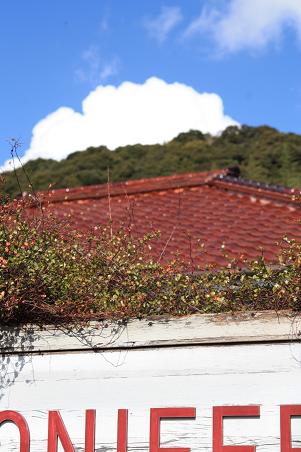 f0121167_2321322.jpg