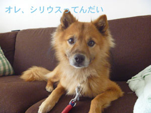 f0238772_6335812.jpg