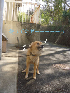 f0238772_6341090.jpg