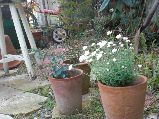 f0190577_12201270.jpg