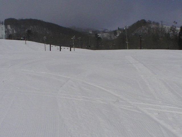 a0140584_8412613.jpg