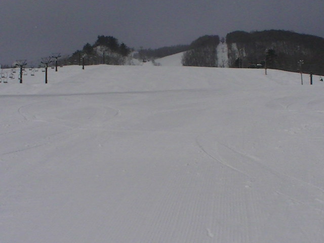 a0140584_841910.jpg