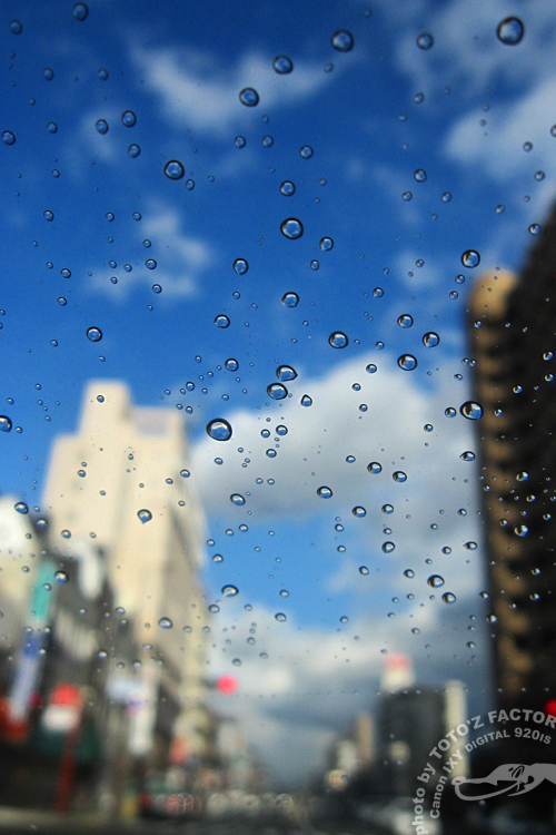 三寒四温　御天気雨_a0034287_19282633.jpg