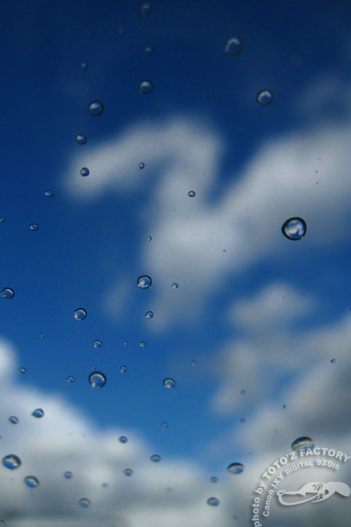 三寒四温　御天気雨_a0034287_19285629.jpg
