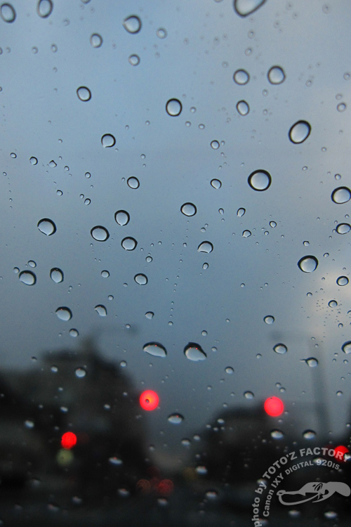 三寒四温　御天気雨_a0034287_19292428.jpg