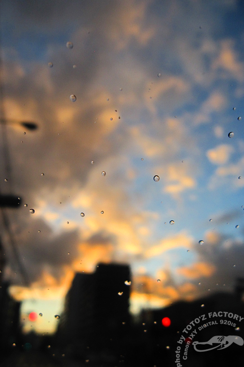 三寒四温　御天気雨_a0034287_19303548.jpg